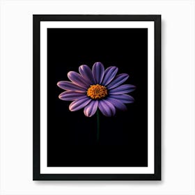 Purple Daisy 2 Art Print