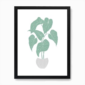 Green Begonia Art Print