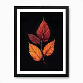 Autumn Leaves 11 Art Print