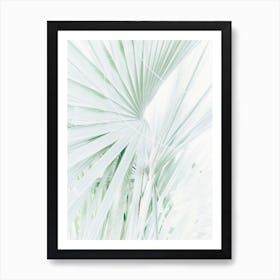 Pretty Palms Art Print