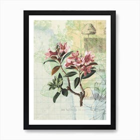 Floral Garden 13 Art Print