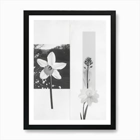 Daffodil Flower Photo Collage 6 Art Print