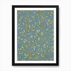 Acacia tree Vintage Botanical Art Print