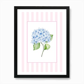 Pink And Blue Hydrangea 3 Art Print