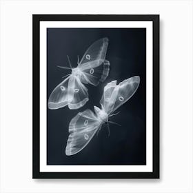 Moths Art Print