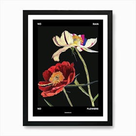 No Rain No Flowers Poster Ranunculus 2 Art Print