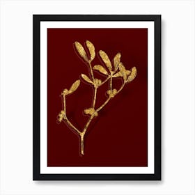 Vintage Viscum Album Branch Botanical in Gold on Red n.0098 Art Print