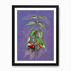 Vintage Cornelian Cherry Botanical Illustration on Veri Peri Art Print