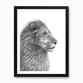 The Lion Art Print