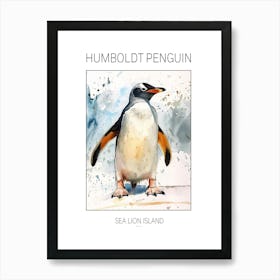 Humboldt Penguin Sea Lion Island Watercolour Painting 2 Poster Art Print