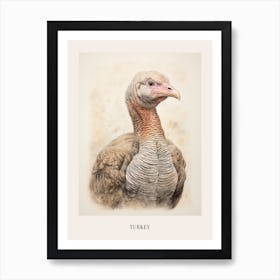 Vintage Bird Drawing Turkey 3 Poster Art Print