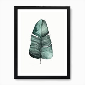 Botanical Illustration Banana Leaf Art Print