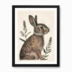 Blanc De Hotot Blockprint Rabbit Illustration 7 Art Print