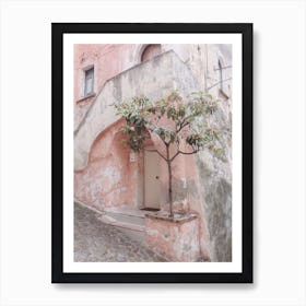Pink House With Plant Art Print