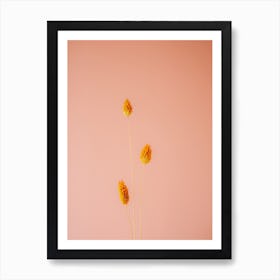 Orange And Coral Botanical Art Print