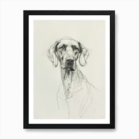Vizsla Dog Charcoal Line 4 Art Print