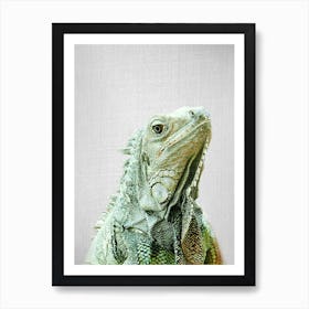 Iguana Art Print