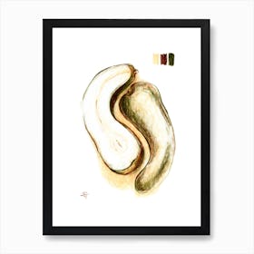 Pear Fruit Illustration Art Print