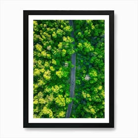 Aerial View Captures The Canopy Of A Lush Green Forest In The Throes Of Spring New Leaves Unfurling (7) Art Print