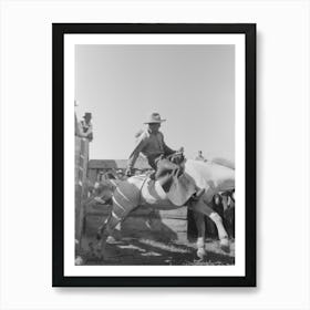 Untitled Photo, Possibly Related To Cowboy At Bean Day Rodeo, Wagon Mound, New Mexico By Russell Lee 2 Art Print