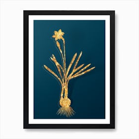 Vintage Narcissus Gouani Botanical in Gold on Teal Blue n.0222 Art Print