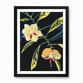 Neon Flowers On Black Bergamot 1 Art Print