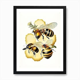 Wax Bees 2 Vintage Art Print