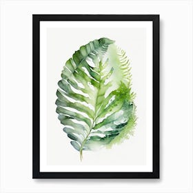 Soft Shield Fern 3 Watercolour Art Print