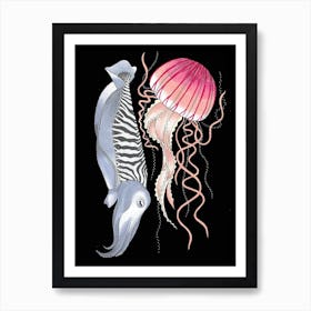 Jellyfish And Cuttlefish Art Print