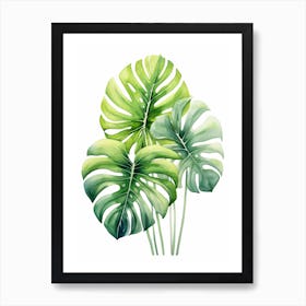 Monstera Leaves Art Print