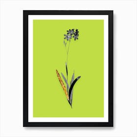 Vintage Corn Lily Black and White Gold Leaf Floral Art on Chartreuse n.0128 Art Print