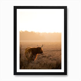 Highlander Cow Looking At Sunrise Art Print