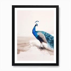 Peacock On The Beach Watercolour Art Print