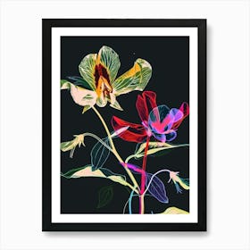 Neon Flowers On Black Sweet Pea 1 Art Print