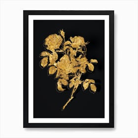 Vintage Rose of Love Bloom Botanical in Gold on Black n.0335 Art Print