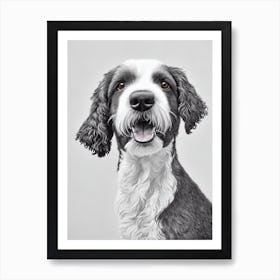 Spanish Water Dog B&W Pencil Dog Art Print