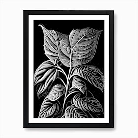 Peppermint Leaf Linocut 1 Art Print