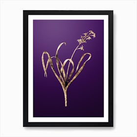 Gold Botanical Dutch Hyacinth on Royal Purple n.1074 Art Print