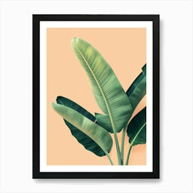 Banana Leaf On A Beige Background Art Print