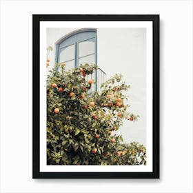 Oranges and Window in White Art Print