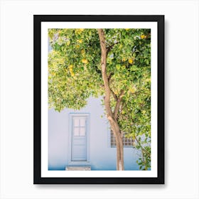 Blue House Lemon Tree Art Print