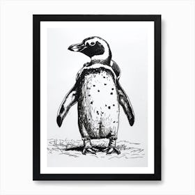 African Penguin Huddling For Warmth 4 Art Print