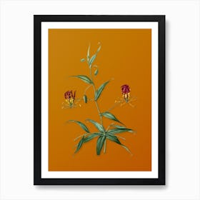 Vintage Flame Lily Botanical on Sunset Orange n.0716 Art Print