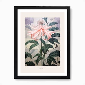 Flower Illustration Bee Balm 3 Poster Art Print