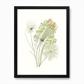 Fennel Seed Spices And Herbs Pencil Illustration 2 Art Print