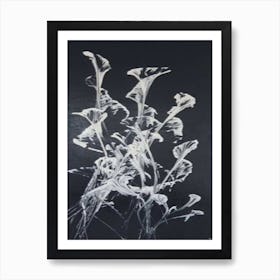 Black And White Abstract Painting Art Print