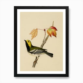 Rufous-Sided Warbler Art Print