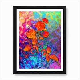 Red Cabbage Rose in Bloom Botanical in Acid Neon Pink Green and Blue Art Print