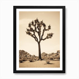  Photograph Of A Joshua Tree In A Sandy Desert 4 Art Print