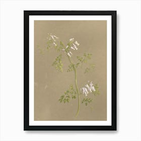 Flowering Plant 4 Art Print